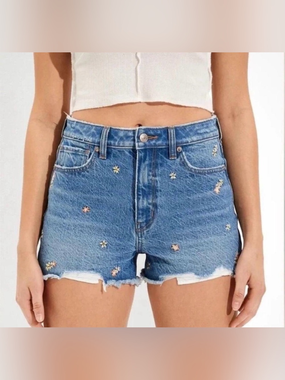 American Eagle Outfitters Blue Denim Embroidered Floral Mom Shorts
